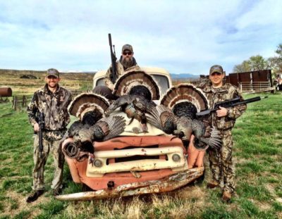 13012897_524393051101660_3762381207556818118_n